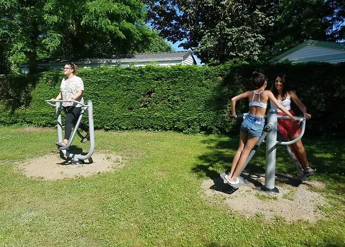 Flower Les Mijeannes Rieux-de-Pelleport