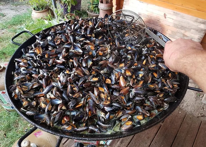 Flower Les Mijeannes