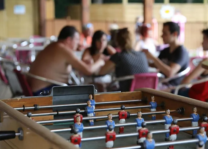 אתר קמפינג Flower Les Mijeannes Rieux-de-Pelleport