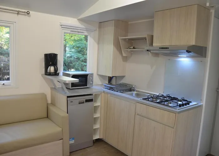 Flower Les Mijeannes 3*