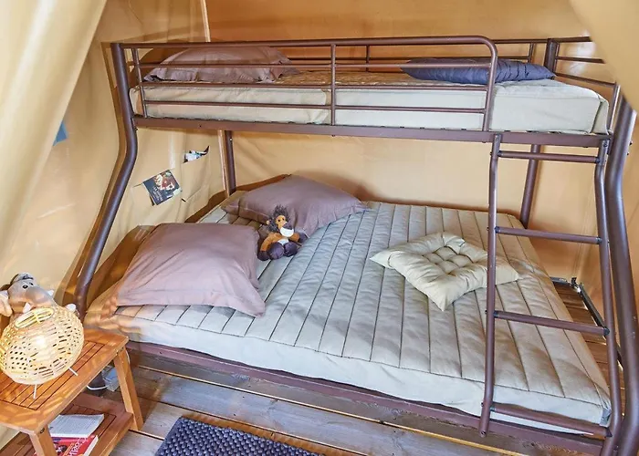 Flower Les Mijeannes 3*