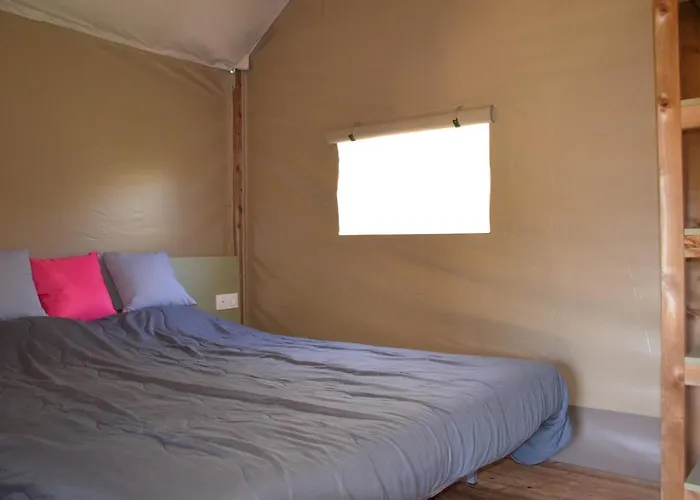 אתר קמפינג Flower Les Mijeannes Rieux-de-Pelleport