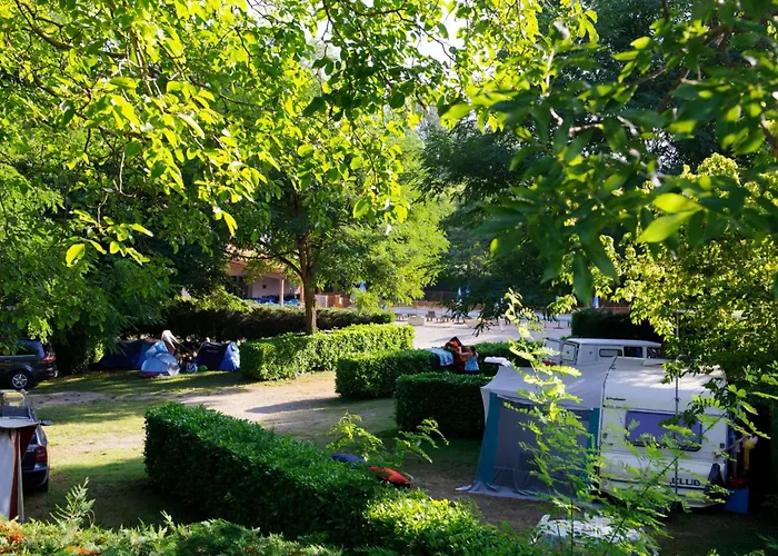 Flower Les Mijeannes Rieux-de-Pelleport