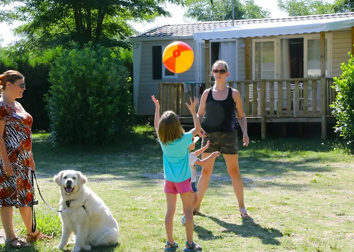 Flower Les Mijeannes אתר קמפינג Rieux-de-Pelleport