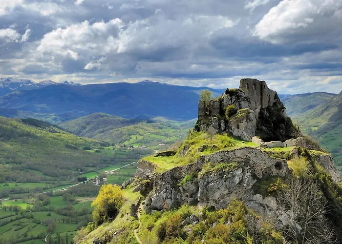 Flower Les Mijeannes Rieux-de-Pelleport