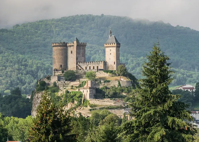 Flower Les Mijeannes אתר קמפינג Rieux-de-Pelleport