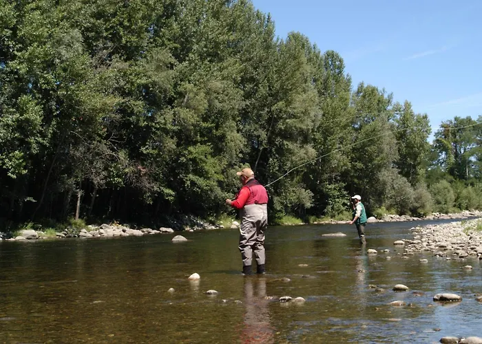 אתר קמפינג Flower Les Mijeannes Rieux-de-Pelleport