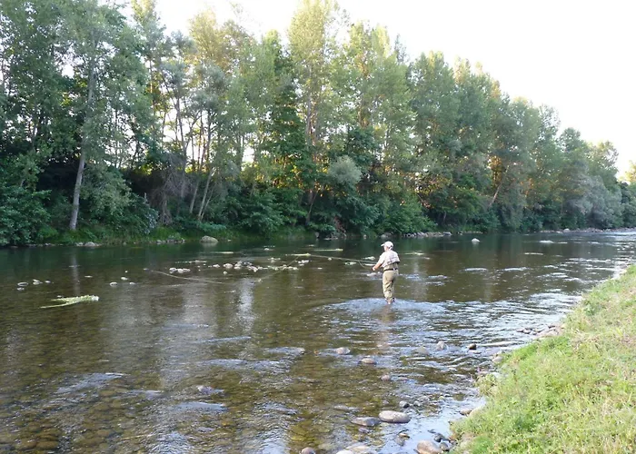 Flower Les Mijeannes אתר קמפינג Rieux-de-Pelleport