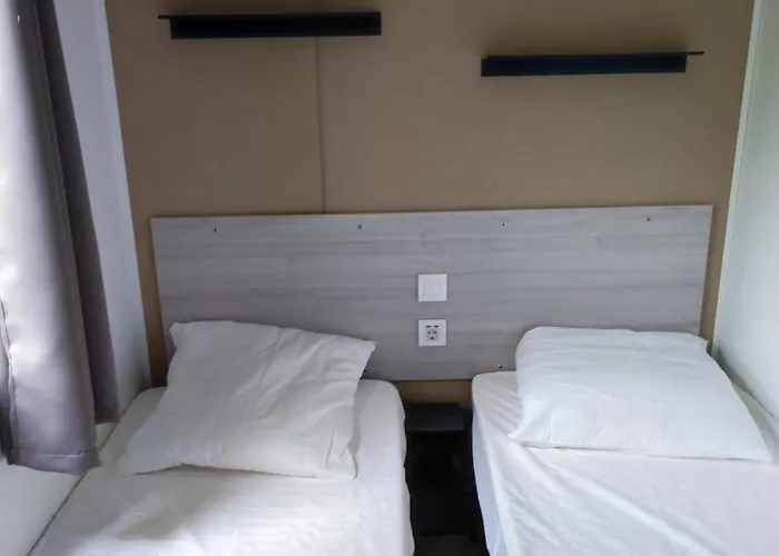 Flower Les Mijeannes