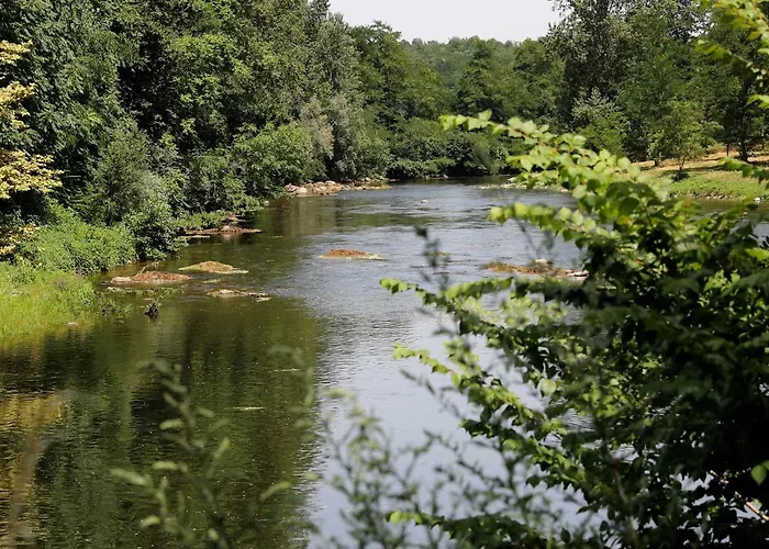 Flower Les Mijeannes