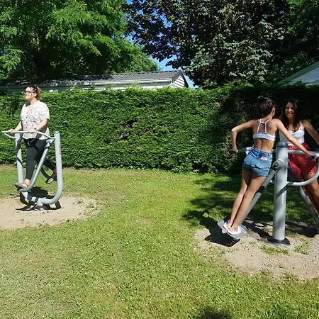 Flower Les Mijeannes Rieux-de-Pelleport