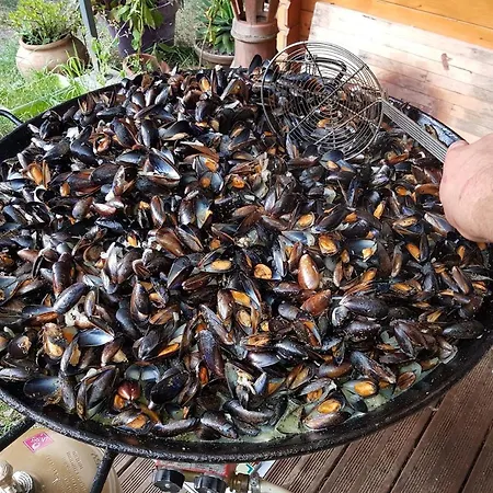 Flower Les Mijeannes