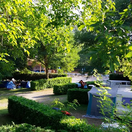 Flower Les Mijeannes Rieux-de-Pelleport