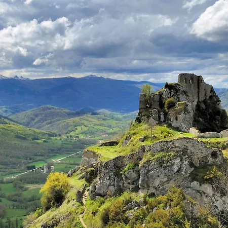 Flower Les Mijeannes Rieux-de-Pelleport