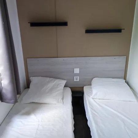 Flower Les Mijeannes